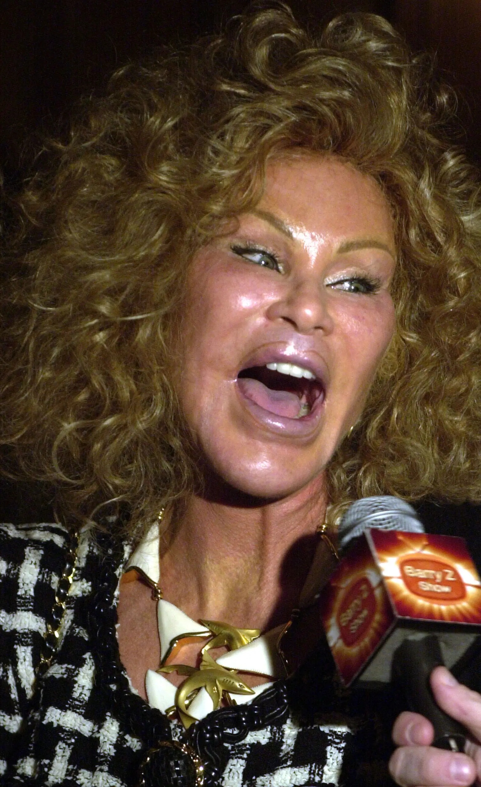 Jocelyn Wildensteinin kuva