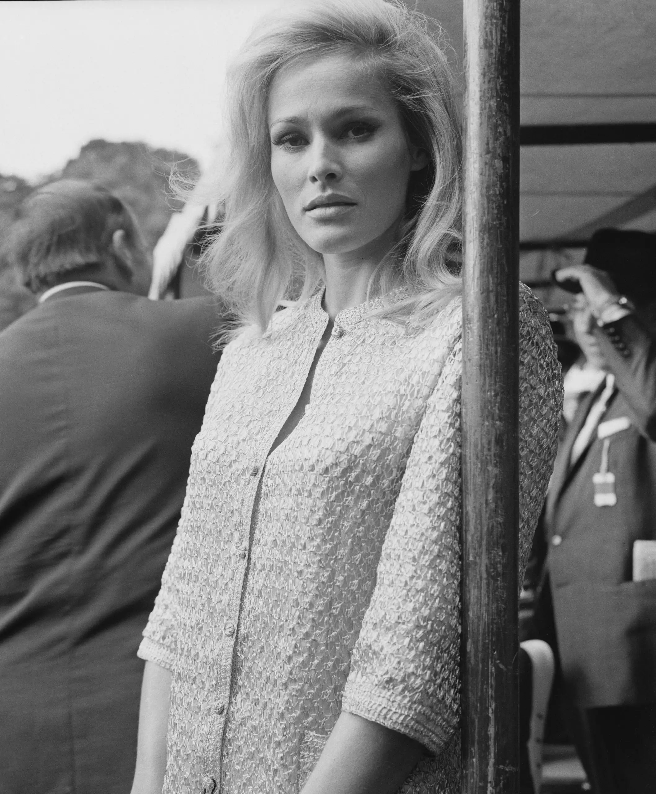 Ursula Andress kuva