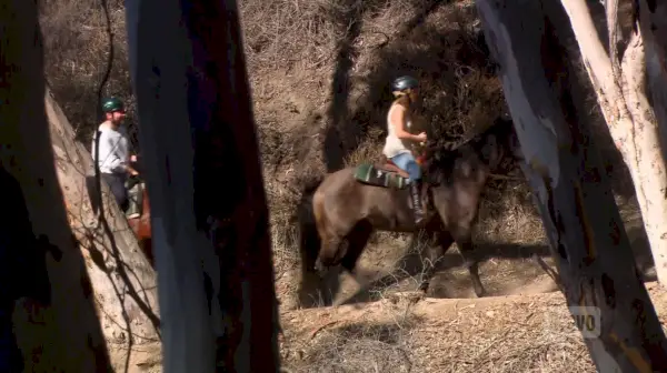 Tämä kauhistuttava kuva, jonka sinulle toi Caroline Manzo
