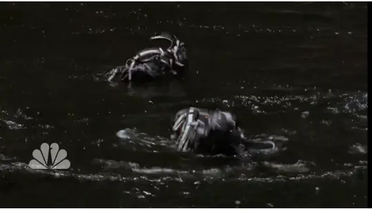 Minun... BlackBerryni.